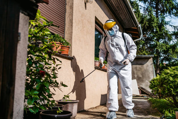Best Exterminator Services  in Stanton, TX