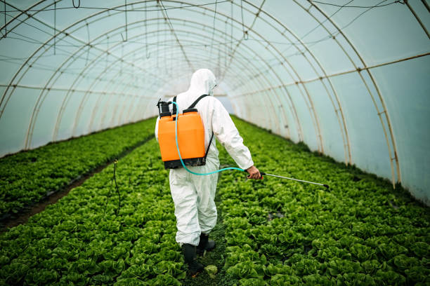 Best Local Pest Control Services  in Stanton, TX