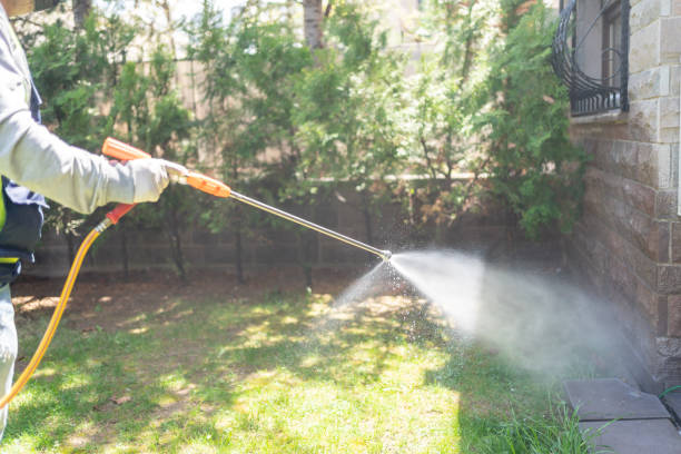 Best Ant Control Services  in Stanton, TX