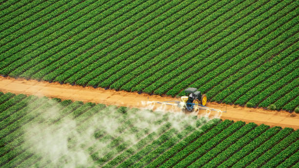 Best Mosquito Control Services  in Stanton, TX